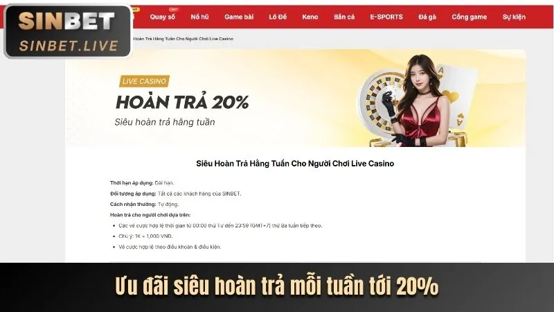Chương trình VIP và phần thưởng độc quyền vin88 apk
